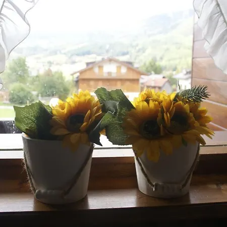 Verocai Studio Apartman *